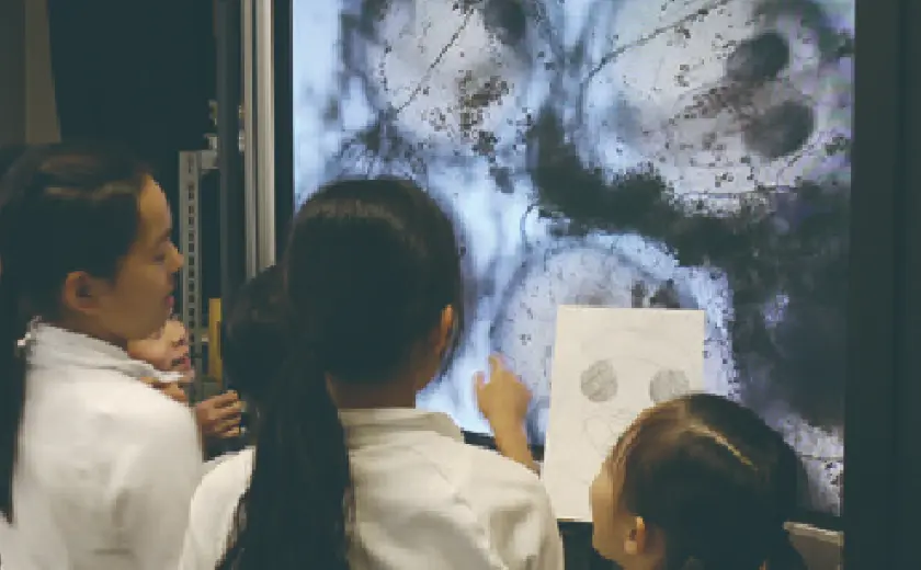 理科の授業風景