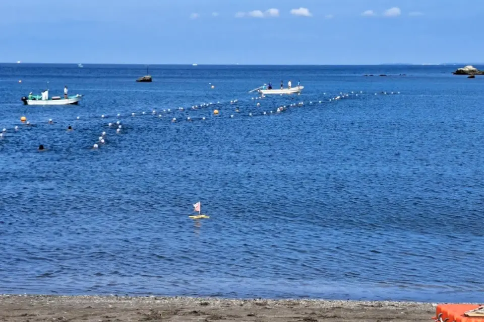 校外学習の様子